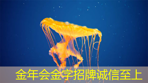 金年会:智慧树与芝麻投影:给您带来超越传统观影的全新感受! 金年会:智慧树与芝麻投影:给您带来超越传统观影的全新感受!