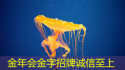 智慧商显促进商业空间体验革新 智慧商显促进商业空间体验革新