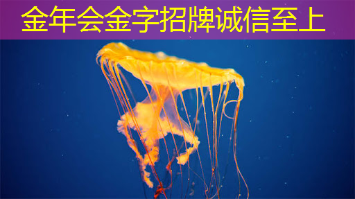 金年会:高效工作新方式:无线投屏器教你实现投屏和同屏 金年会:高效工作新方式:无线投屏器教你实现投屏和同屏
