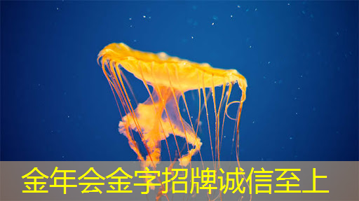 郑州物流智能仓储怎么样 郑州物流智能仓储怎么样