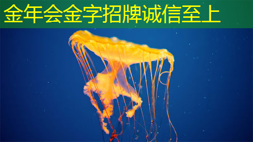 一键投屏,或者选择同屏播放?你该如何取舍? 一键投屏,或者选择同屏播放?你该如何取舍?
