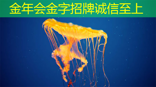 金年会:商业智能时代 新秀荟萃,智慧商显展你不容错过! 金年会:商业智能时代 新秀荟萃,智慧商显展你不容错过!