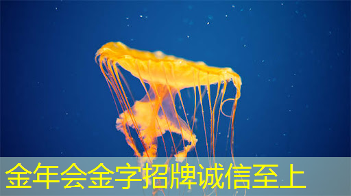 金年会:「多媒体大放映」LCD智慧商显打造视听盛宴 金年会:「多媒体大放映」LCD智慧商显打造视听盛宴