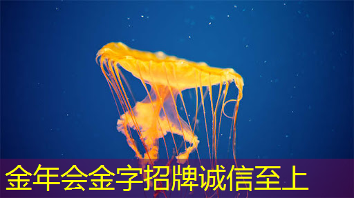 金年会:提升商业展示品质,从智慧商显设备开始 金年会:提升商业展示品质,从智慧商显设备开始