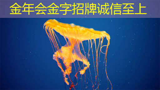 金年会:引发购物新体验:360智慧商显让消费者流连忘返! 金年会:引发购物新体验:360智慧商显让消费者流连忘返!