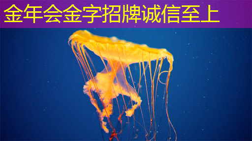 金年会:魅力商显科技,智慧商显展即将震撼亮相! 金年会:魅力商显科技,智慧商显展即将震撼亮相!