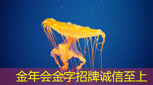 金年会:2153亿年营收难掩困境,ASML“芯片霸权”被撼动,中国突围在即! 金年会:2153亿年营收难掩困境,ASML“芯片霸权”被撼动,中国突围在即!