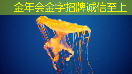 传音也做芯片了 传音也做芯片了