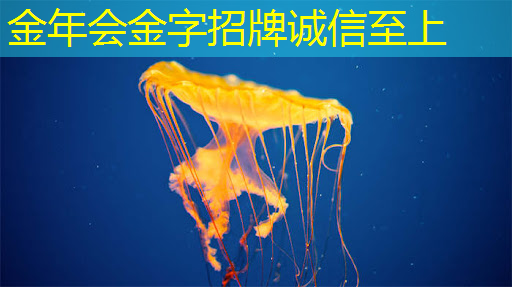 金年会:英集芯这颗快充协议芯片打入紫米供应链:累计出货破千万颗! 金年会:英集芯这颗快充协议芯片打入紫米供应链:累计出货破千万颗!