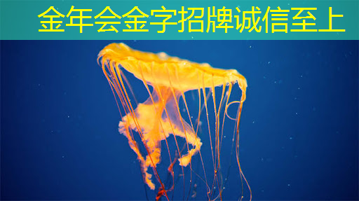 金年会:芯驰科技汽车芯片系列公开课上线,第一期主讲E3系列车规MCU及ADAS/BMS应用方案 | 直播预告 金年会:芯驰科技汽车芯片系列公开课上线,第一期主讲E3系列车规MCU及ADAS/BMS应用方案 | 直播预告