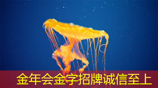 金年会：“成都造”智能语音识别芯片 家电不用“听懂”人话