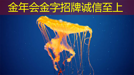 英伟达发布最强AI加速卡 推出新一代AI芯片Blackwell和NIM软件 英伟达发布最强AI加速卡 推出新一代AI芯片Blackwell和NIM软件