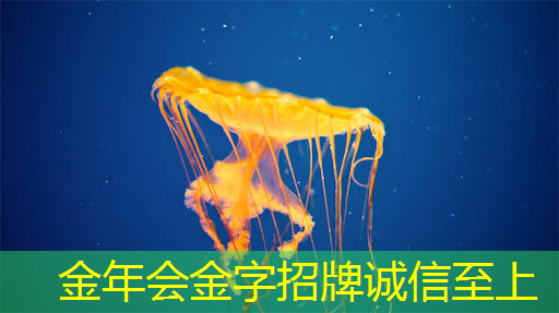 据泄露:高通正在研发一款功能强大的游戏桌面芯片 据泄露:高通正在研发一款功能强大的游戏桌面芯片