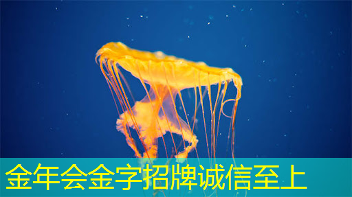 金年会:【活动推荐】大模型、芯片、边缘智能你感兴趣的话题都来了!大湾区边缘计算年度盛会上线! 金年会:【活动推荐】大模型、芯片、边缘智能你感兴趣的话题都来了!大湾区边缘计算年度盛会上线!