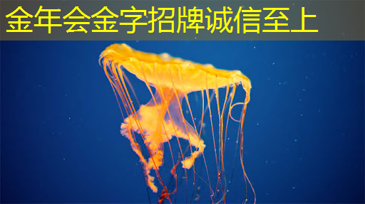 金年会:高通骁龙8s Elite芯片曝光:AI性能暴增50%,手机厂商争相布局 金年会:高通骁龙8s Elite芯片曝光:AI性能暴增50%,手机厂商争相布局