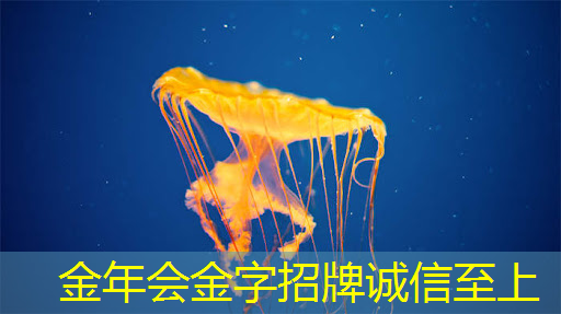 英集芯推出五款高效率锂电快充芯片,高集成高效率 英集芯推出五款高效率锂电快充芯片,高集成高效率