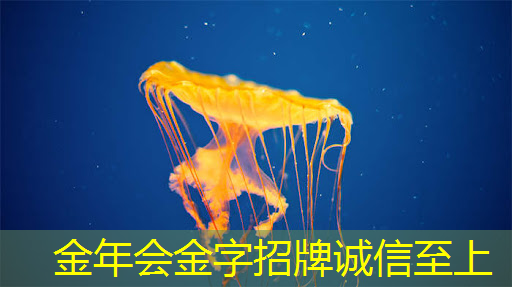 金年会:格力实现SIC芯片的自研自产,茅台业绩说明会4要点 金年会:格力实现SIC芯片的自研自产,茅台业绩说明会4要点