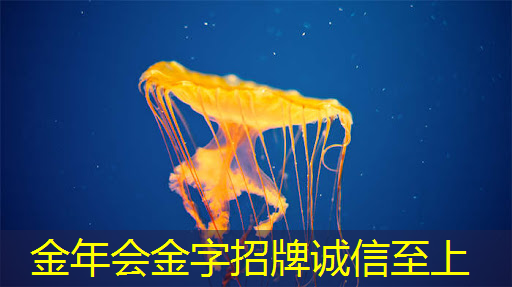 电源管理芯片:如何选择与应用 电源管理芯片:如何选择与应用