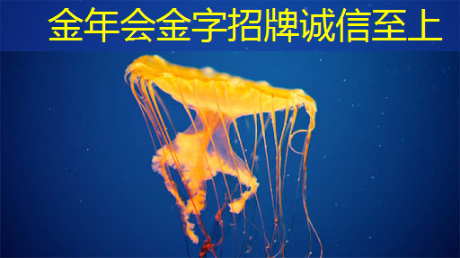 金年会:WAIC2021|使能智慧交通,黑芝麻智能核心芯片推动汽车产业“智”变升级 金年会:WAIC2021|使能智慧交通,黑芝麻智能核心芯片推动汽车产业“智”变升级