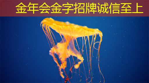 金年会:谷歌发布新一代Trillium AI芯片,性能提升四倍,AI计算进入新时代 金年会:谷歌发布新一代Trillium AI芯片,性能提升四倍,AI计算进入新时代