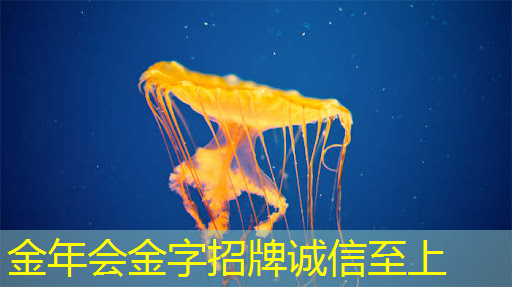 金年会:录音芯片智能语音IC芯片程序开发设计 10秒录音玩具IC 金年会:录音芯片智能语音IC芯片程序开发设计 10秒录音玩具IC