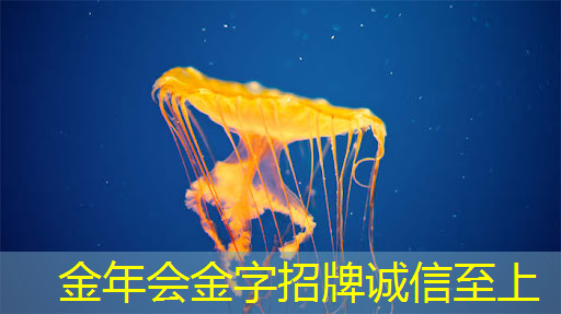 金年会:我国的军用芯片处于世界什么水平?可以拿来给手机使用吗? 金年会:我国的军用芯片处于世界什么水平?可以拿来给手机使用吗?