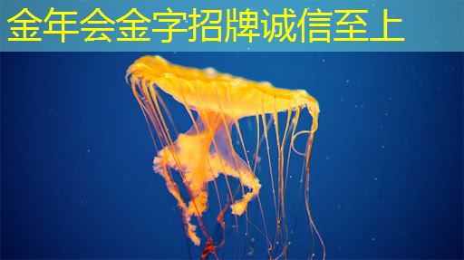 AI芯片龙头业绩狂飙1033%!世界领先+国内第一,东方“博通”强势崛起! AI芯片龙头业绩狂飙1033%!世界领先+国内第一,东方“博通”强势崛起!