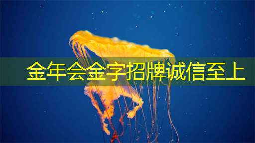 金年会:支持五大主流语音助手的智能音频平台,可降低功耗 65% 的蓝牙芯片,高通吃定了语音市场?| CES 2018 金年会:支持五大主流语音助手的智能音频平台,可降低功耗 65% 的蓝牙芯片,高通吃定了语音市场?| CES 2018