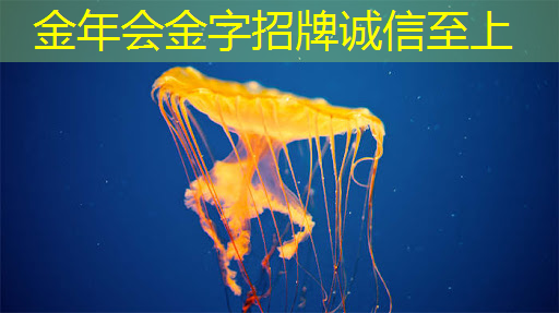 金年会:AI 智能时代的 Azure Maia:从芯片到软件再到系统 金年会:AI 智能时代的 Azure Maia:从芯片到软件再到系统
