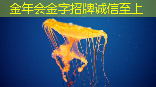 金年会:NDA非破坏性分析:芯片制造的隐形守护者 金年会:NDA非破坏性分析:芯片制造的隐形守护者
