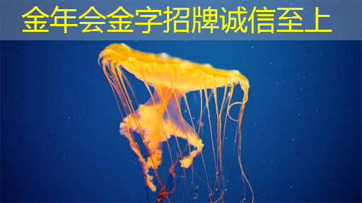 金年会:张强:中国汽车智能芯片行业里的行动派 金年会:张强:中国汽车智能芯片行业里的行动派