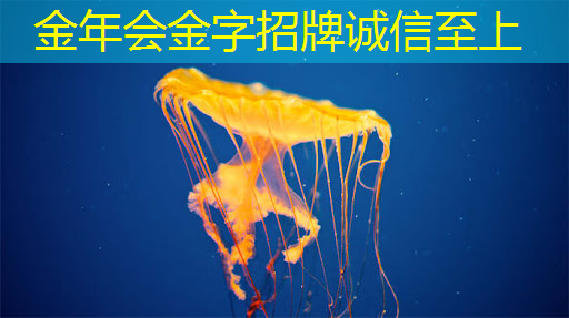 金年会:湃方科技CEO武通达:高能效边缘AI芯片在工业AIoT中的应用实践|公开课预告 金年会:湃方科技CEO武通达:高能效边缘AI芯片在工业AIoT中的应用实践|公开课预告