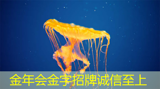 金年会:光芯片,速度快10000倍 金年会:光芯片,速度快10000倍