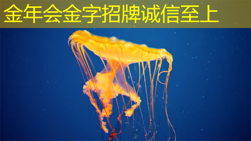 金年会:IBM宣布量子计算里程碑 Falcon芯片性能再次跃升 金年会:IBM宣布量子计算里程碑 Falcon芯片性能再次跃升