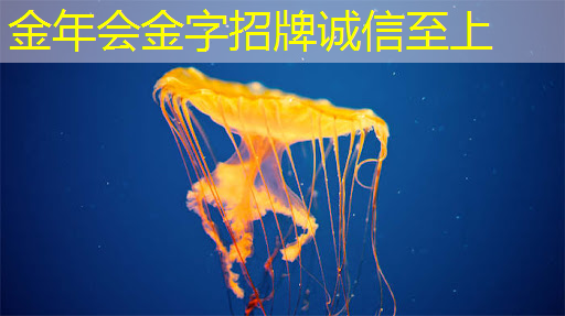 金年会:又一B级车“掀桌了”!全车功能升级 8155芯片+T-Pilot智能驾驶 电车车主:燃油车还能再战几年? 金年会:又一B级车“掀桌了”!全车功能升级 8155芯片+T-Pilot智能驾驶 电车车主:燃油车还能再战几年?
