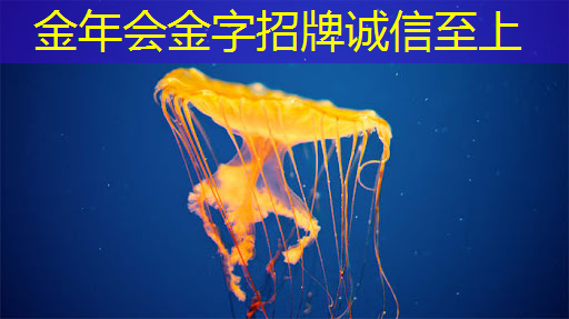 金年会:云豹智能产品应用负责人安东尼:云原生DPU芯片的创新与应用|直播预告 金年会:云豹智能产品应用负责人安东尼:云原生DPU芯片的创新与应用|直播预告