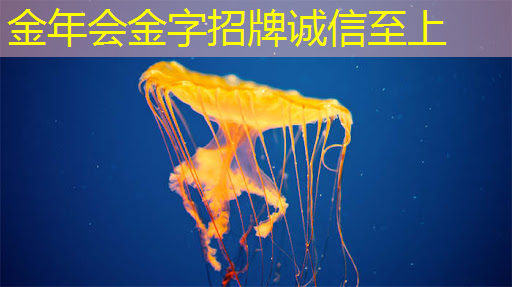 芯片类型与技术节点 芯片类型与技术节点