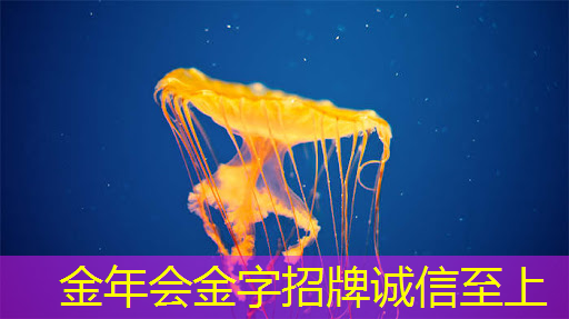 金年会:英伟达和谷歌最新芯片加速AI训练 金年会:英伟达和谷歌最新芯片加速AI训练