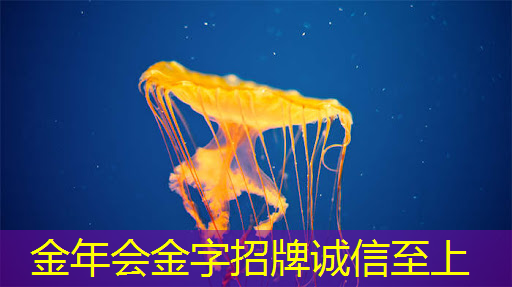 金年会:中国首颗超500比特超导量子计算芯片交付 金年会:中国首颗超500比特超导量子计算芯片交付