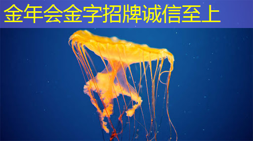 2025年全球芯片市场,走势如何? 2025年全球芯片市场,走势如何?