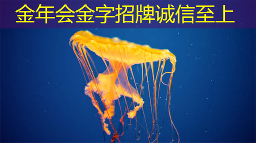 金年会:2025年全球芯片市场,走势如何? 金年会:2025年全球芯片市场,走势如何?