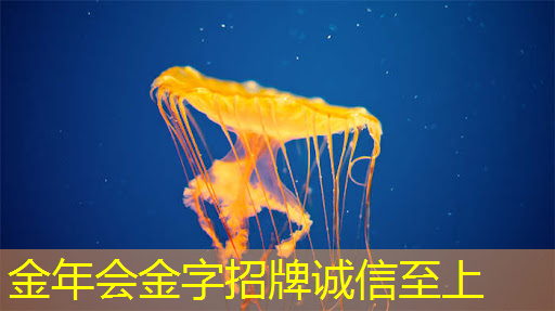 金年会:芯片-设计流程入门(一) 金年会:芯片-设计流程入门(一)