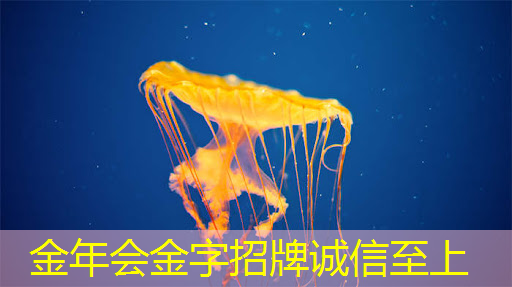 金年会:最全集成电路、半导体芯片板块投资标的及独家资料(收藏帖) 金年会:最全集成电路、半导体芯片板块投资标的及独家资料(收藏帖)