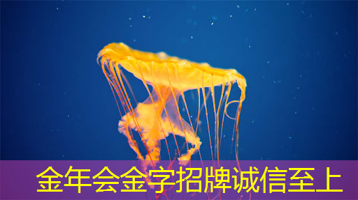 从“功能车”迈向“智能车”时代,芯片决定性能边界 从“功能车”迈向“智能车”时代,芯片决定性能边界