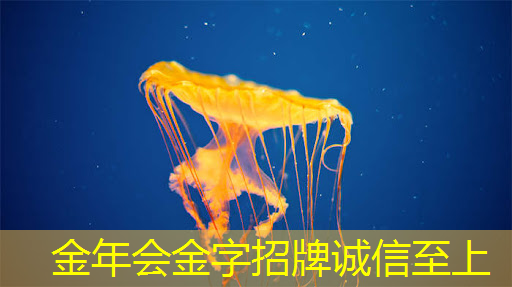 金年会:语音AI芯片在智能家居不同场景如何应用?杭州国芯AI事业部总经理凌云周四讲解! 金年会:语音AI芯片在智能家居不同场景如何应用?杭州国芯AI事业部总经理凌云周四讲解!