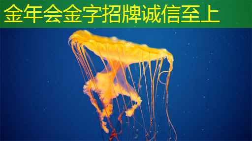 金年会：华为首款AI芯片麒麟970可每分钟处理2000张照片，是三星S8的20多倍