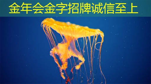 金年会：【寒假】沉浸式芯片科技探索体验营——思无域 行无疆 玩科技 驭未来‍