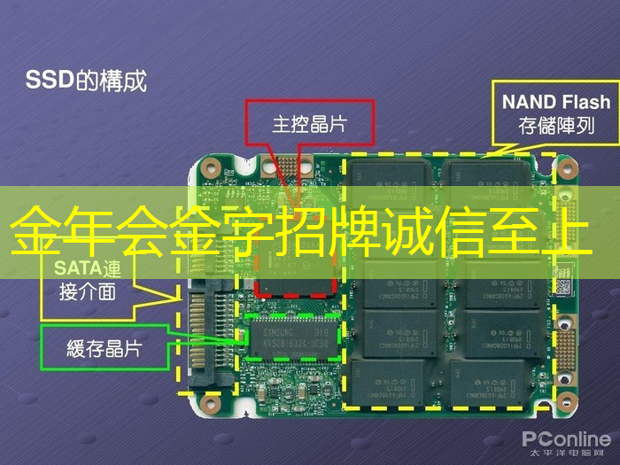 金年会：全志科技领涨，芯片股新宠儿