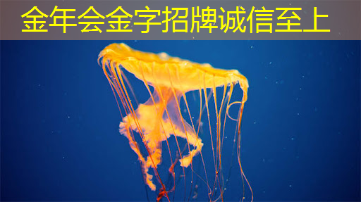 金年会：上海市芯片制造与封装电子电镀专题研讨会在上海大学顺利召开！