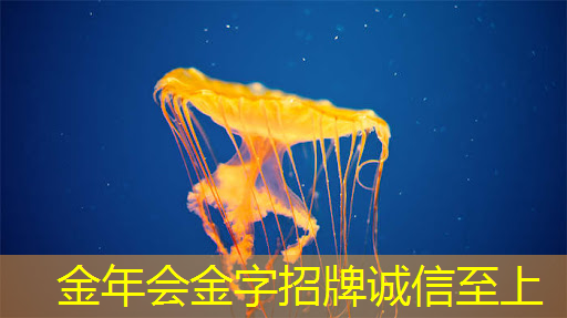 金年会：肇观电子CTO周骥：高效实现智能视觉芯片算法部署的关键与挑战｜直播课预告